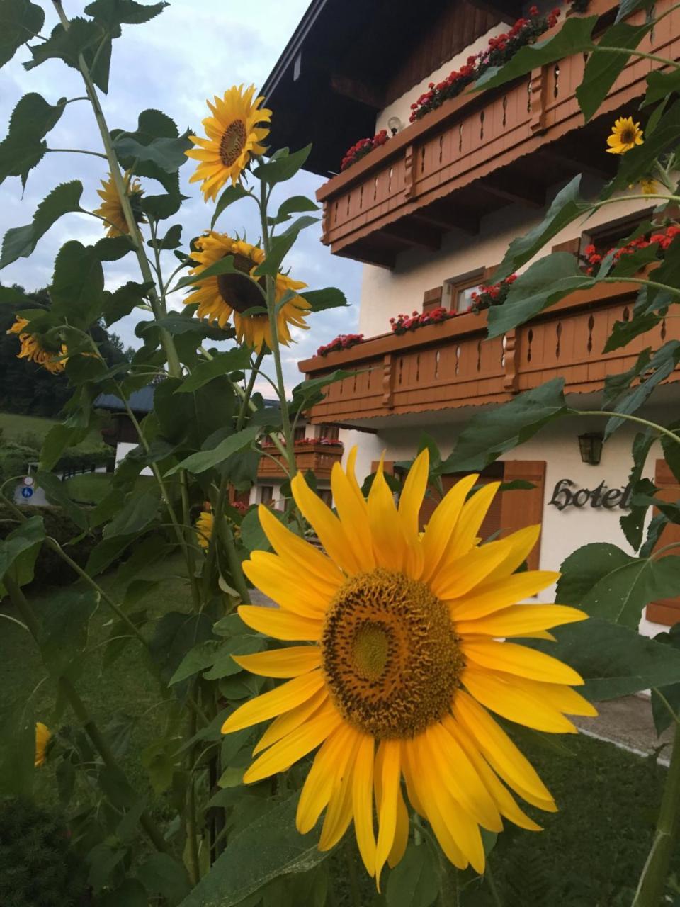 Ferienwohnungen Weiherbach - Hallenbad Berchtesgaden Extérieur photo